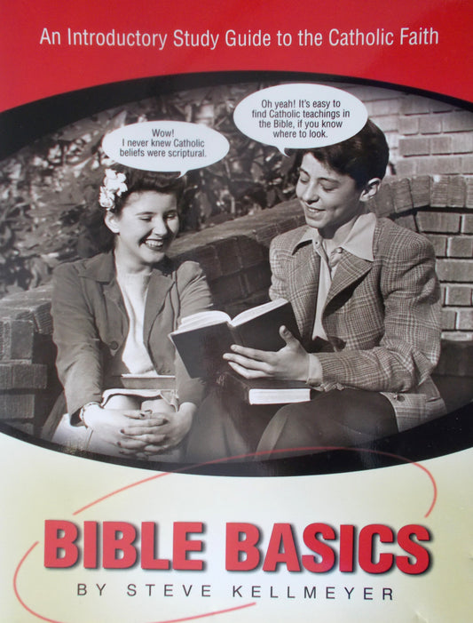 Bible Basics : An Introductory Study Guide to the Catholic Faith