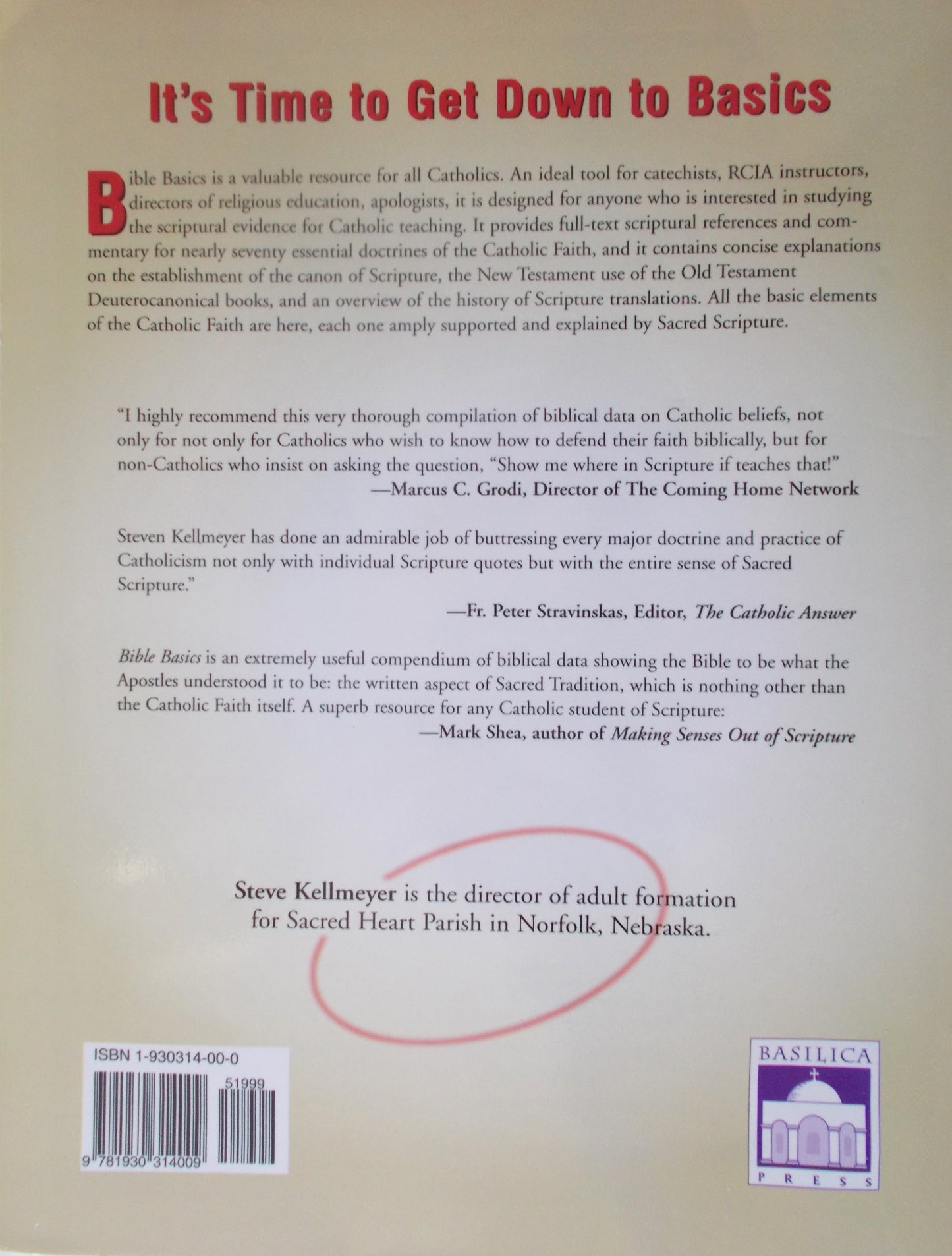 Bible Basics : An Introductory Study Guide to the Catholic Faith