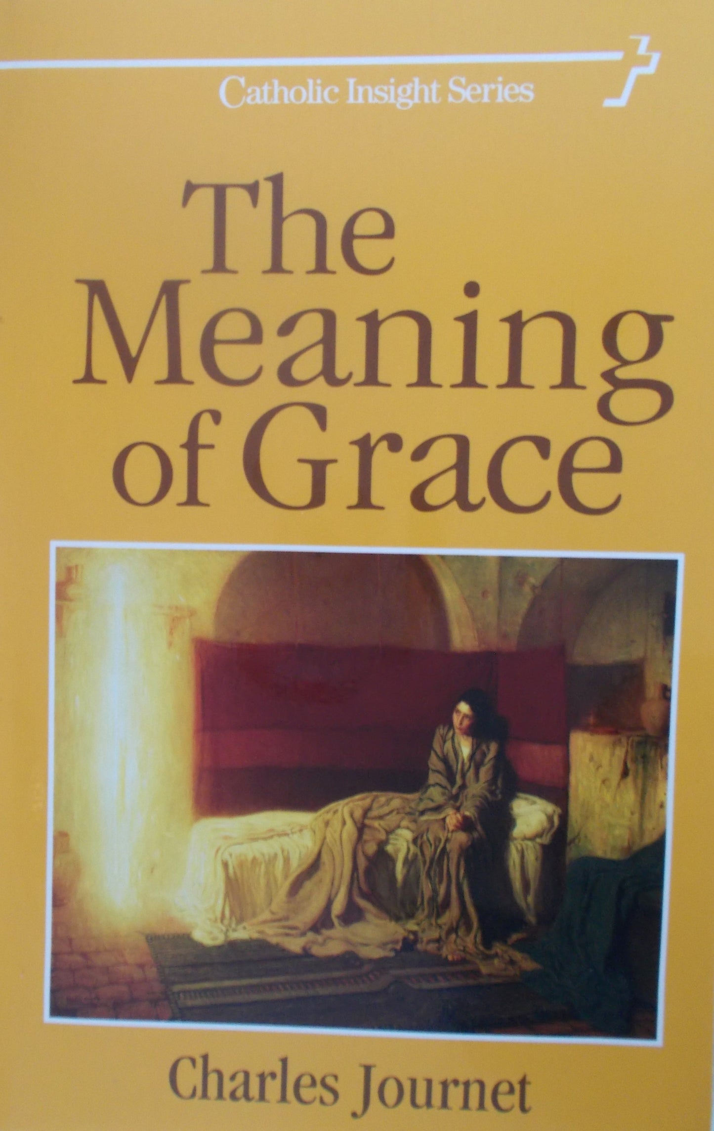 The Meaning of Grace - Catholic Insight Series
