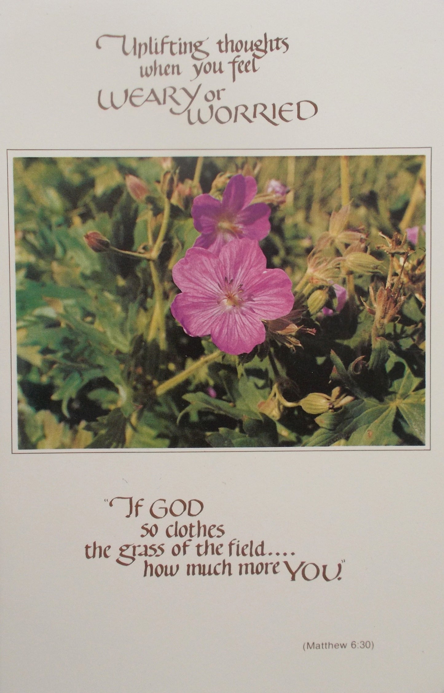 Encouragement Scriptural Greeting Card