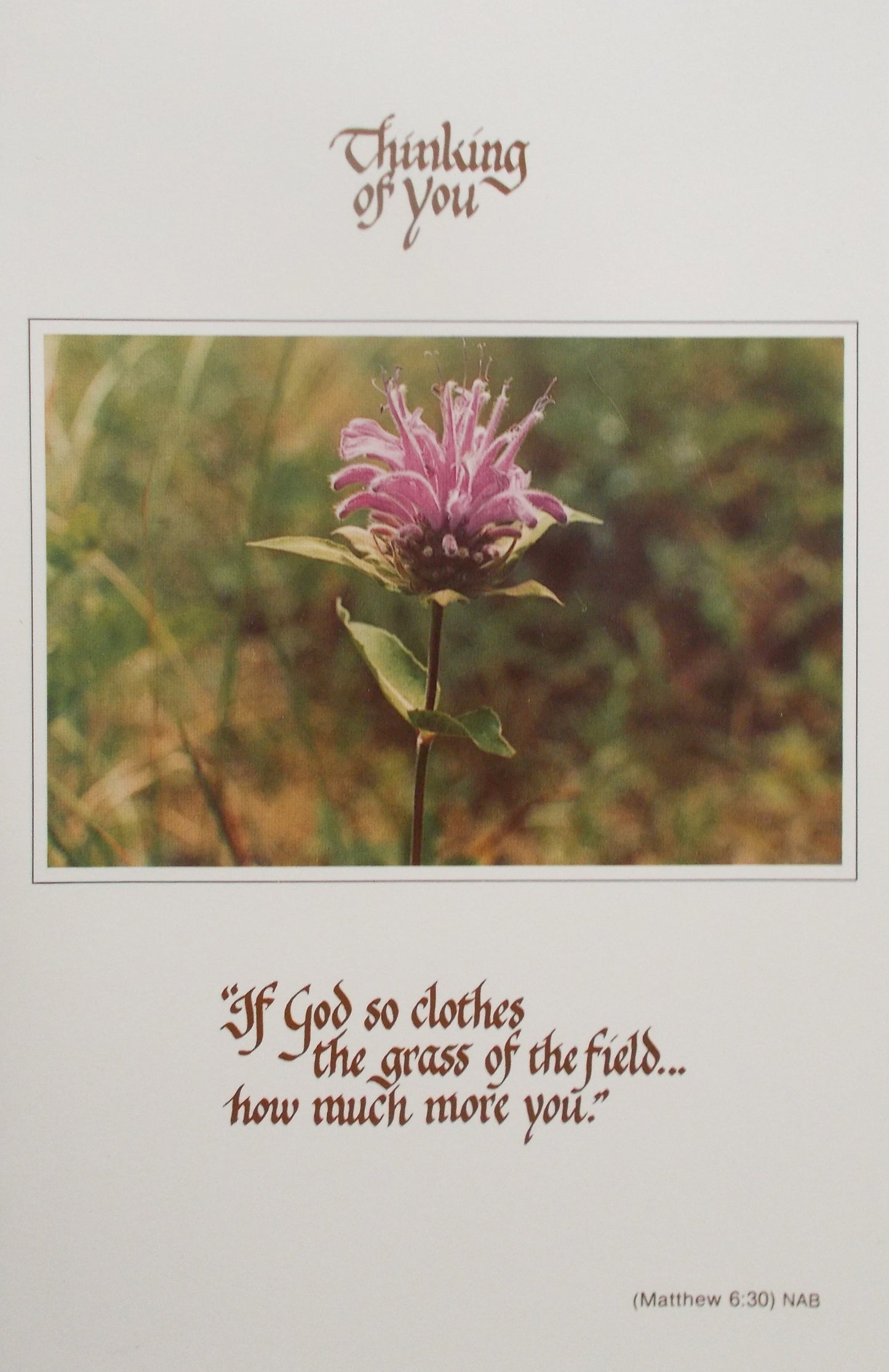 Thinking of You Scriptural Greeting Card