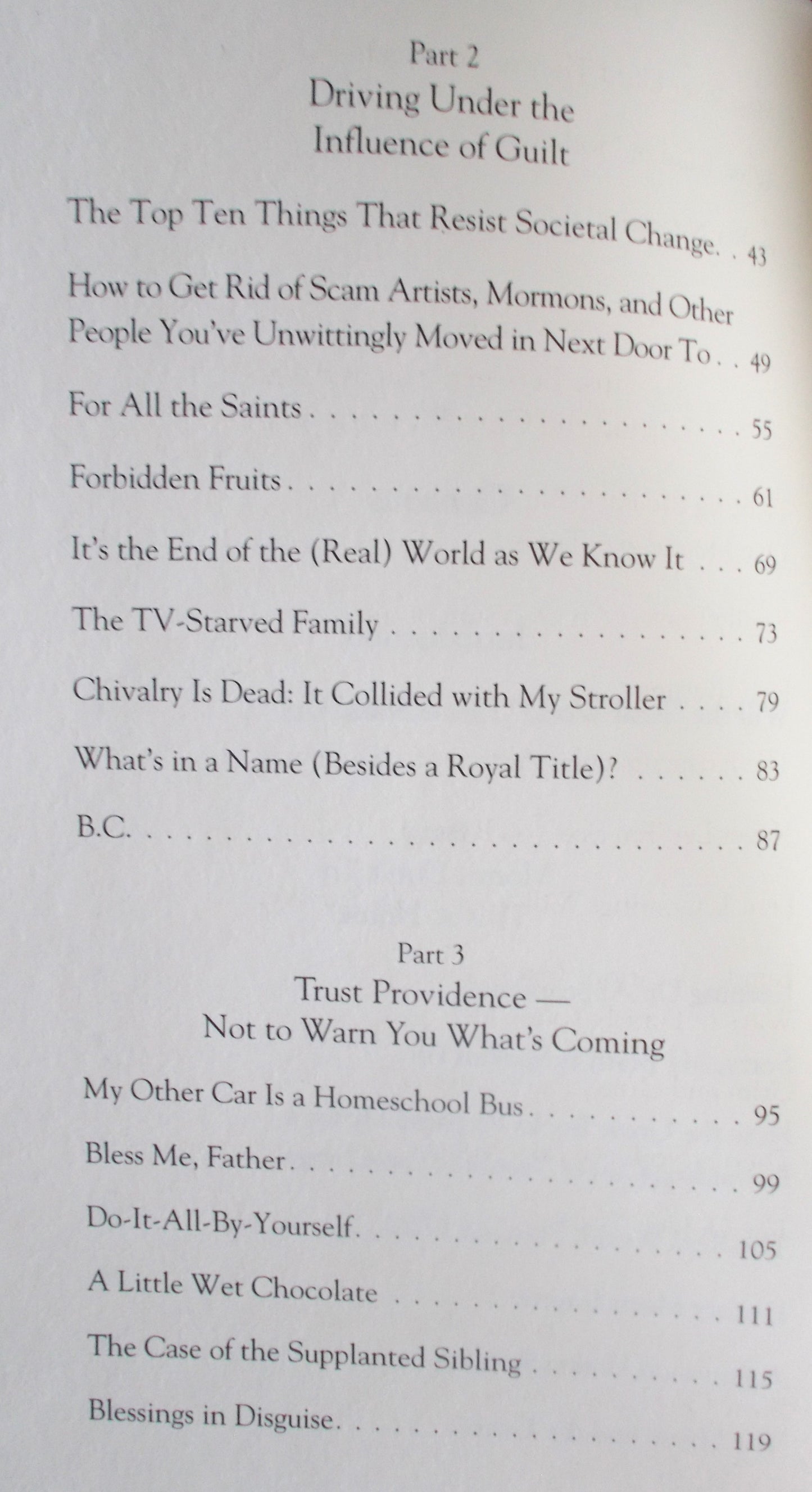 Please Don't Drink the Holy Water! : Homeschool Days, Rosary Nights & Other Near Occasions of Sin