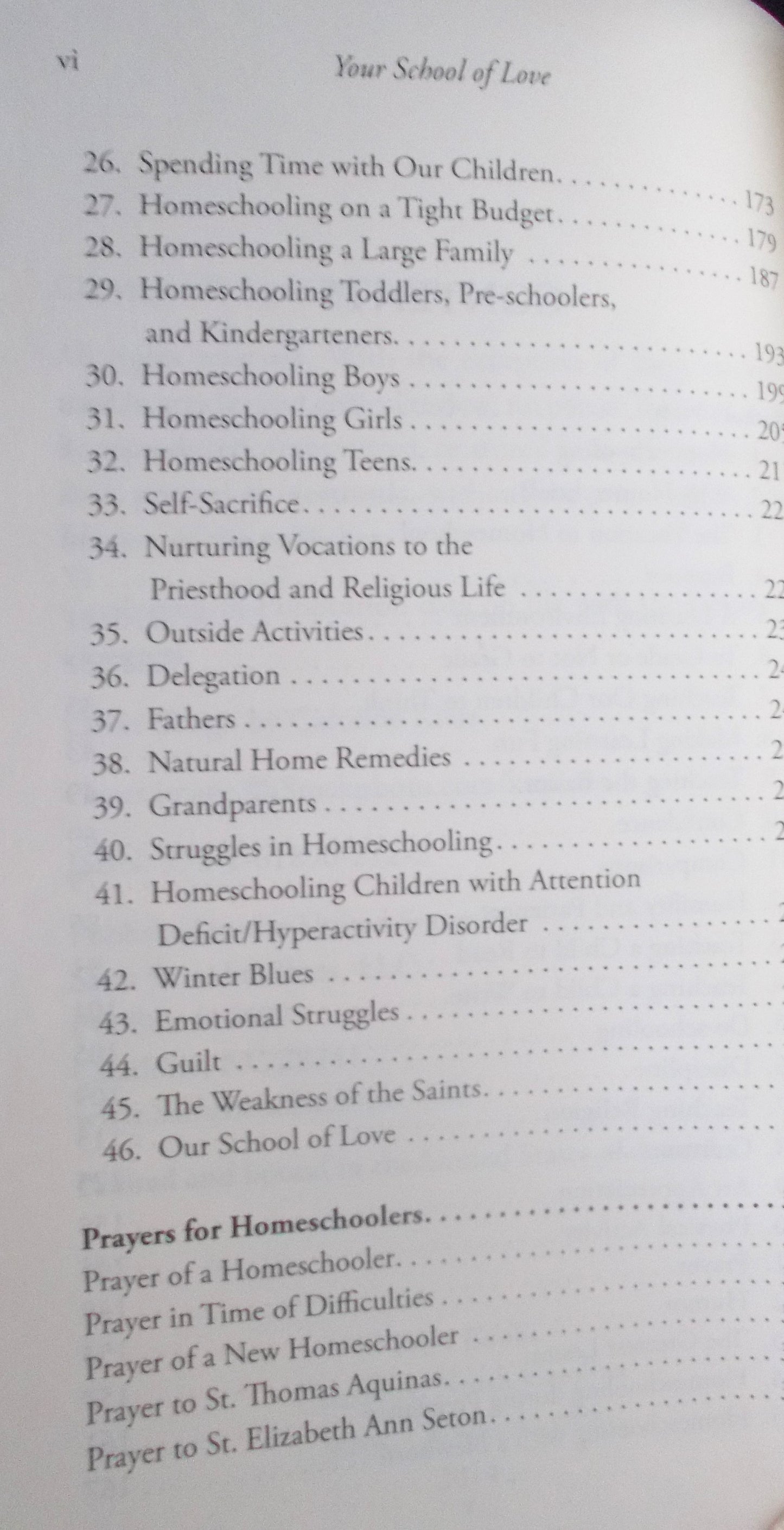 Your School of Love : A Spiritual Companion for Homeschooling Mothers