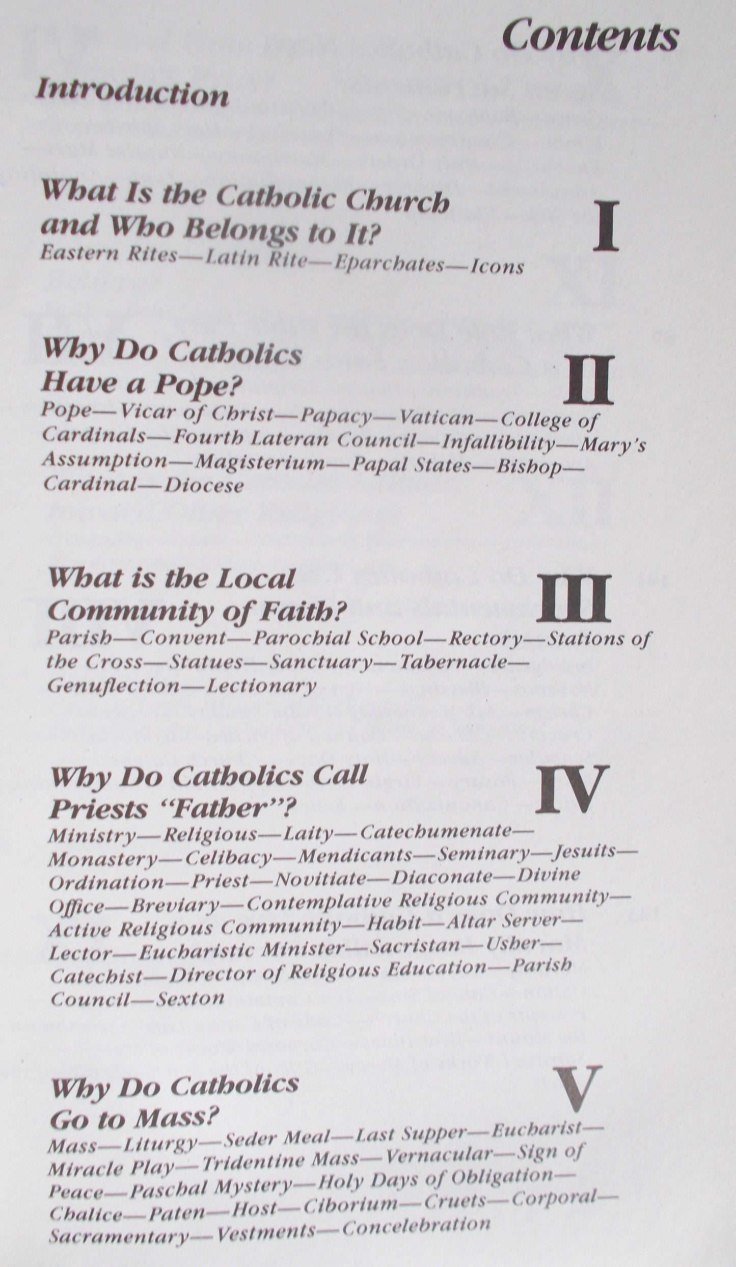 Why Do Catholics...? : A Guide to Catholic Belief and Practice