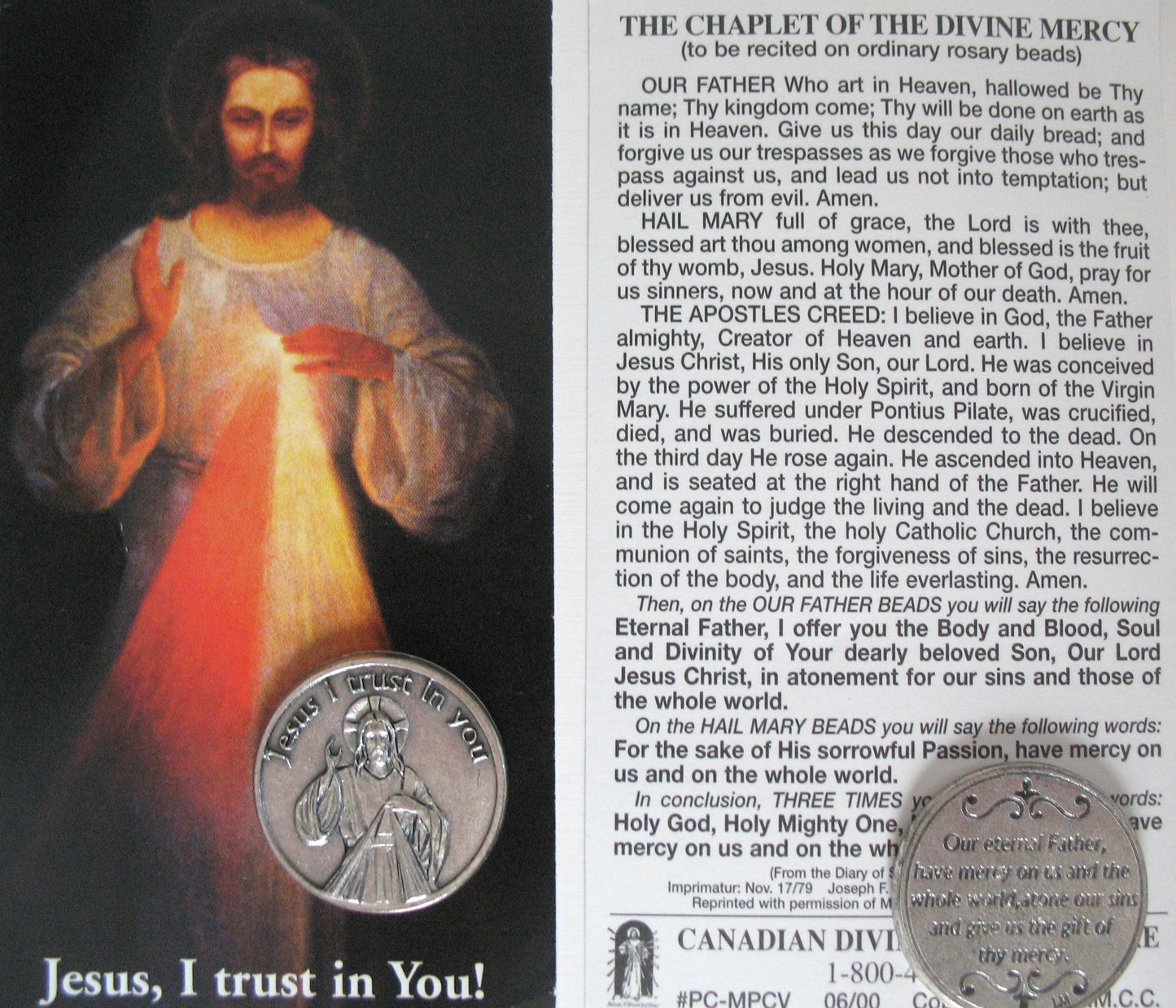 Divine Mercy Pocket Token with Prayercard