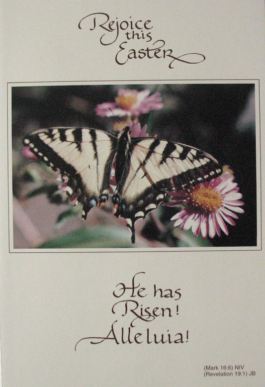 Easter Greeting Cards - Package of 4 - One Design