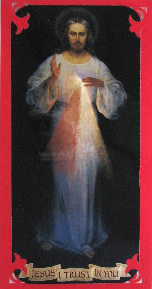 Divine Mercy Image - Laminated - Magnet Back