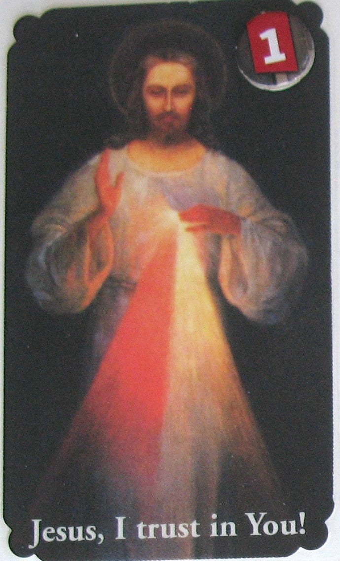 Laminated - Jesus - Divine Mercy