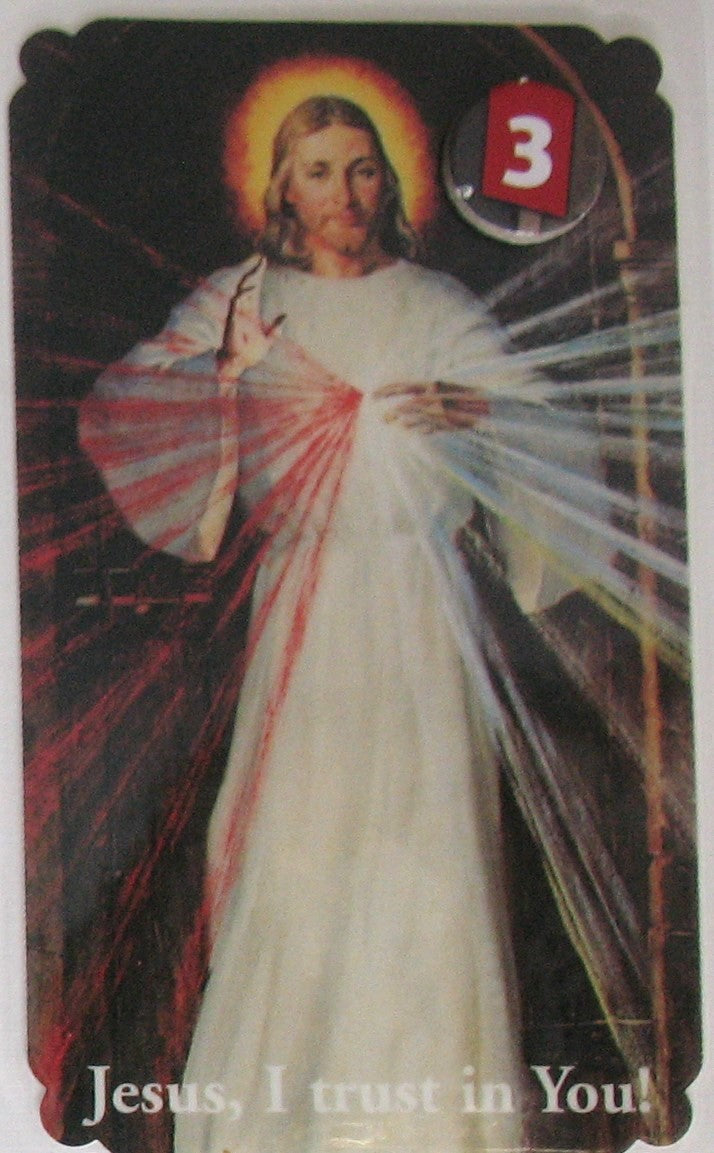 Laminated - Jesus - Divine Mercy