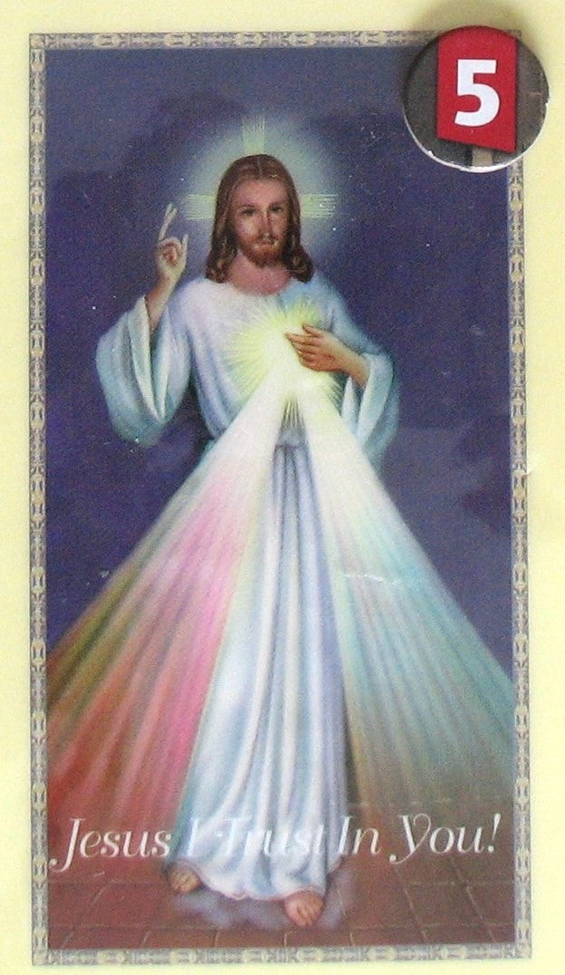 Laminated - Jesus - Divine Mercy