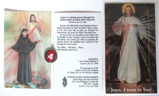 Laminated - Jesus - Divine Mercy