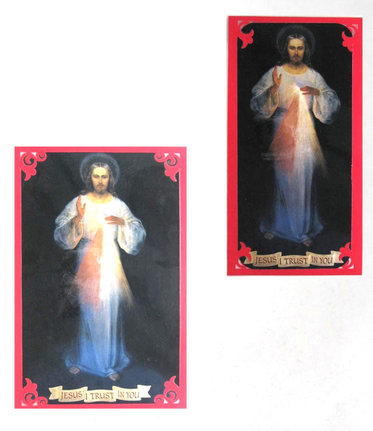 Divine Mercy Image - Laminated - Magnet Back