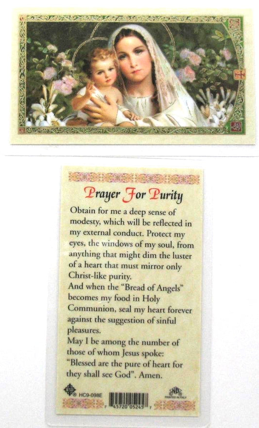Laminated - Madonna - Prayer for Purity